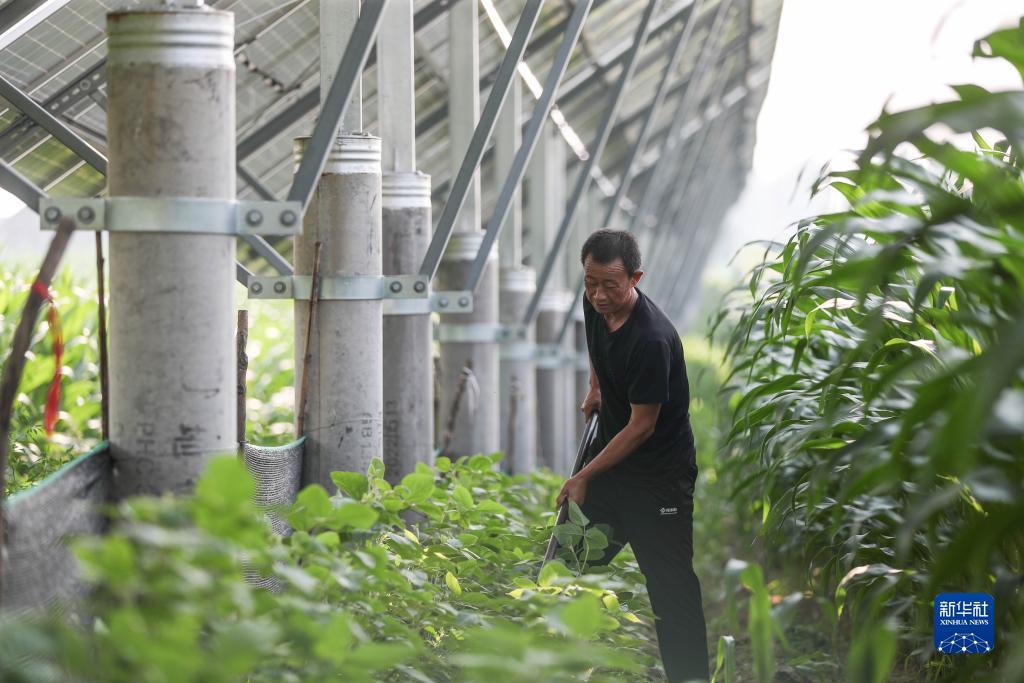 2019白菜彩金优惠网站